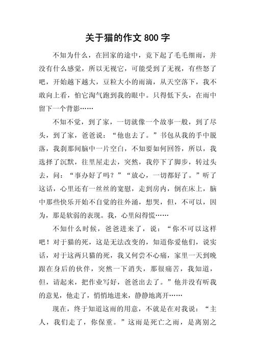 猫五年作文素材作文