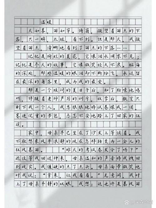 生活中的中考作文温暖作文