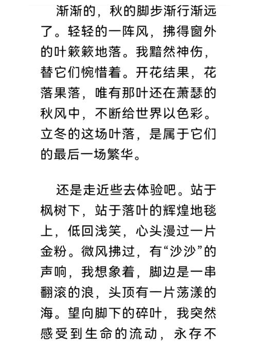 立冬的看图作文第一场雪五年级500字优秀作文(集锦)