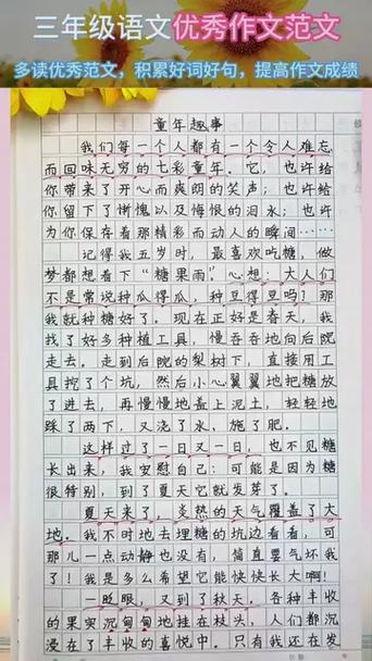 童年的小学作发现初中优秀作文(精选3篇)