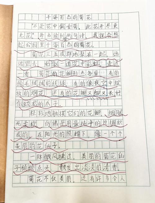 精选我的初中作植物朋友三年级作文300字