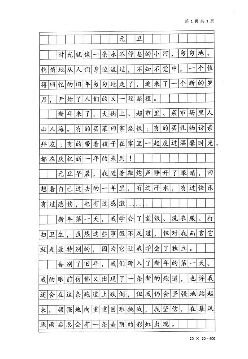 红红火火过元旦作小升初作文