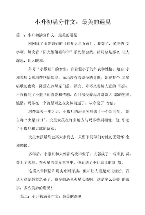 遇见作小升初作文600字初一