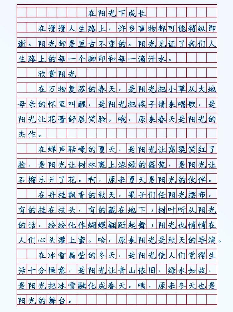 阳光下成长作文400字四年看图作文