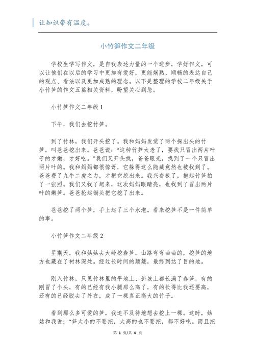 雨后的作文春笋二年级作文（精选5篇）