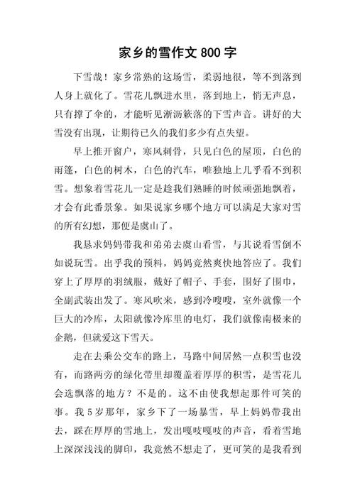 雪景作文800字八年作文大全精选