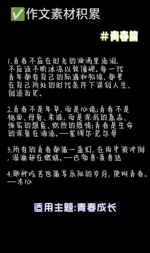 青春作作文素材700字高中生
