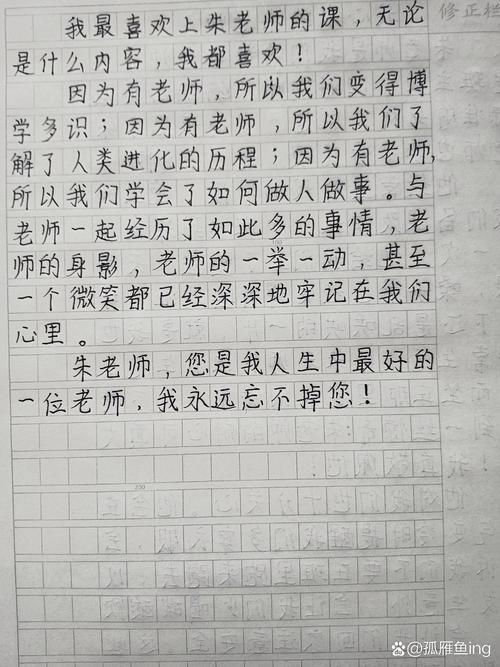 高中赞美老师的小升初作文作文