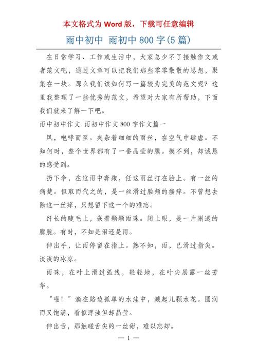 高中雨中的中考作文感动作文800字