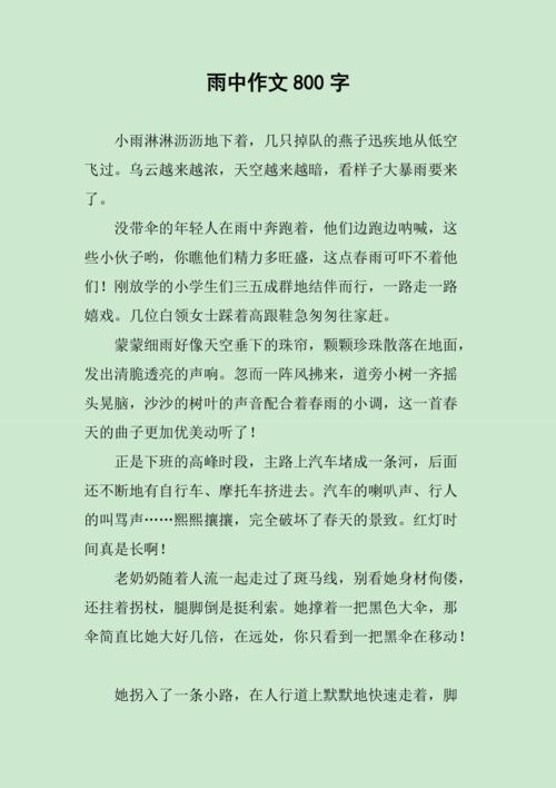 高中雨中的中考作文感动作文800字