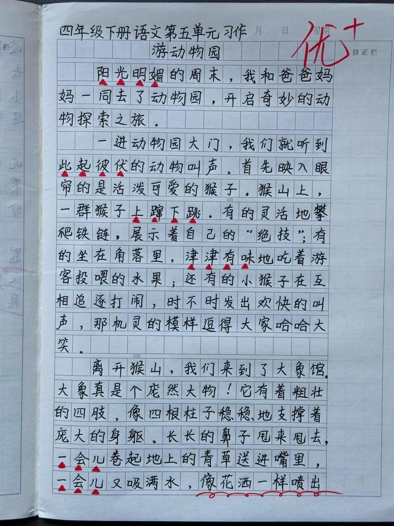 动物园作中考作文500字