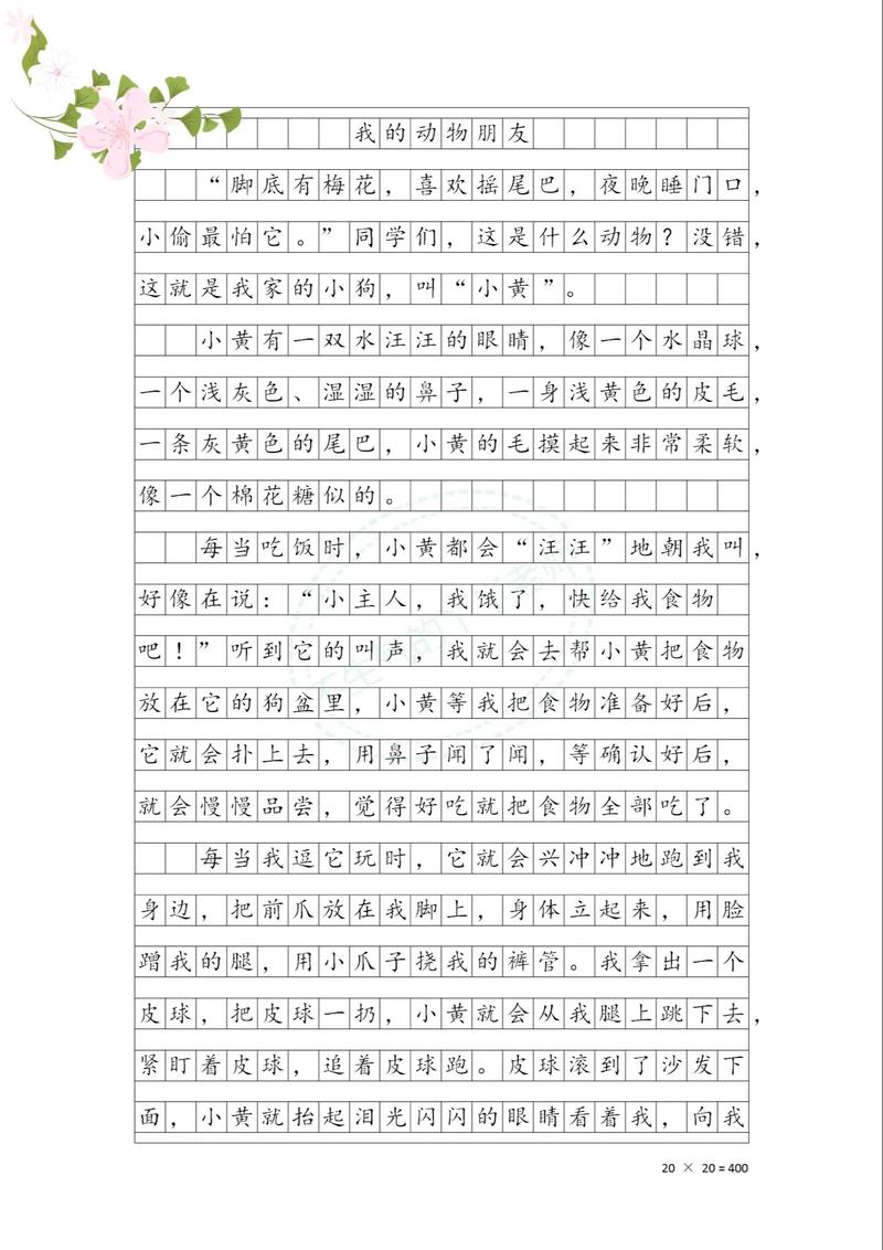 四年作文大全兔子作文