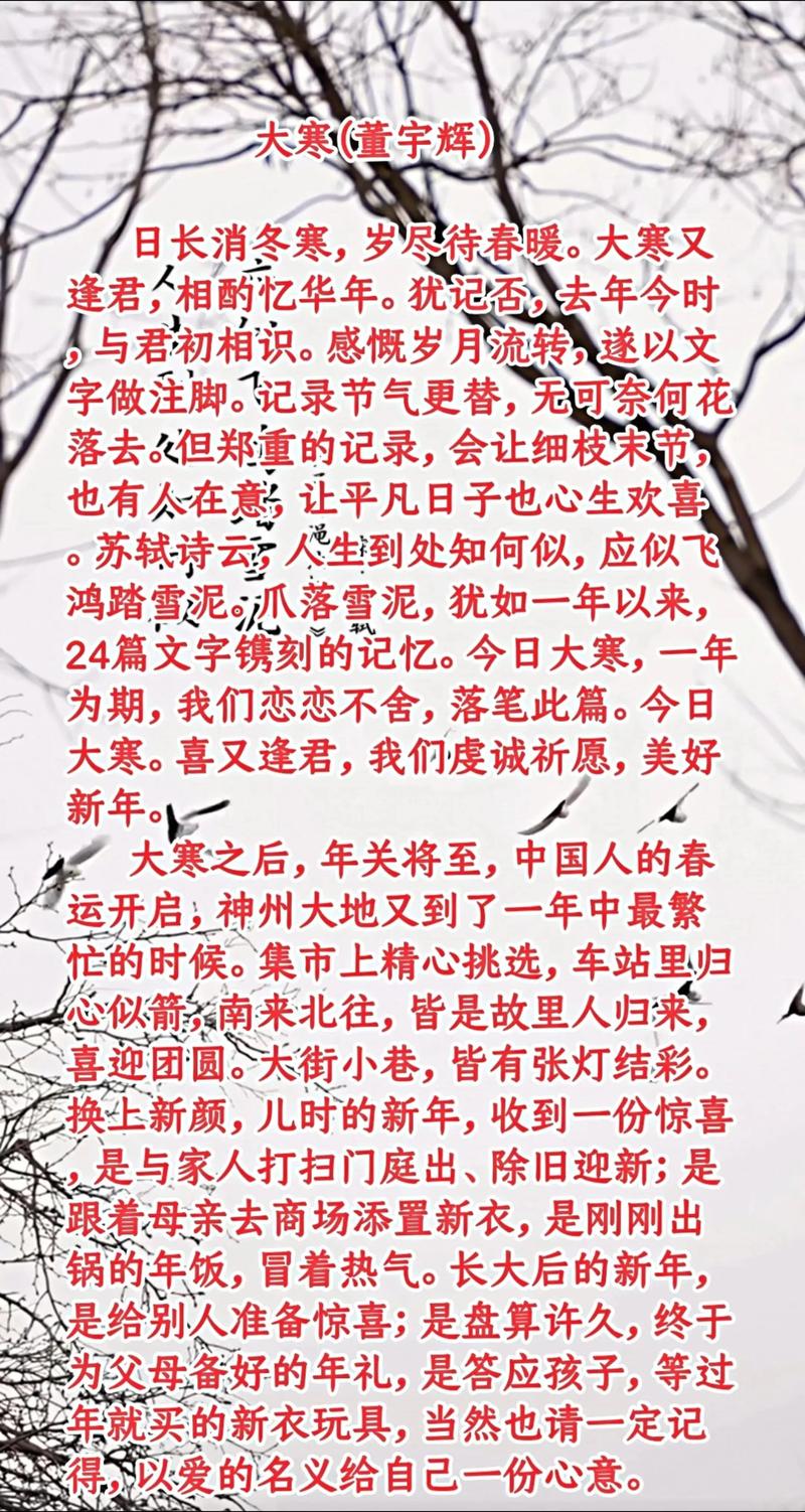 大寒作文450字小学五年小升初作文优秀作文