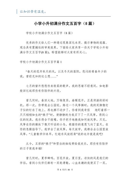 大寒作文450字小学五年小升初作文优秀作文