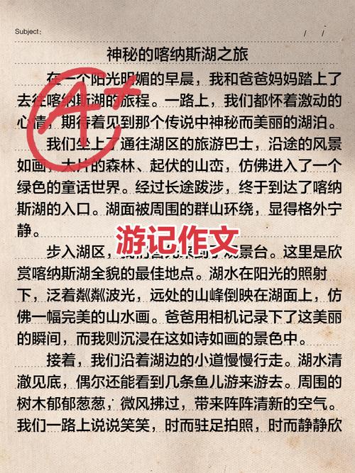夫子庙游记作六年级作文600字