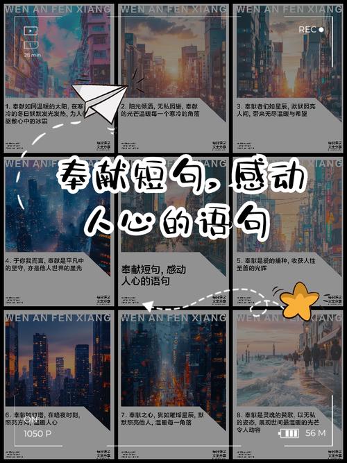 奉献意味着付出