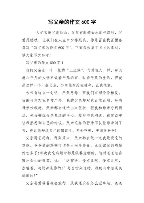 对父亲的中考作文感激的作文